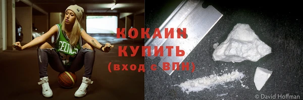 СК Алексин
