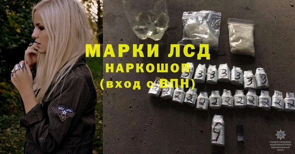 СК Алексин