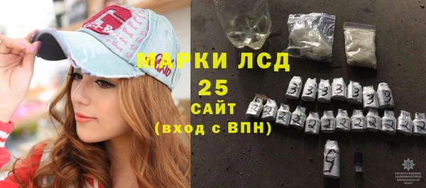 СК Алексин
