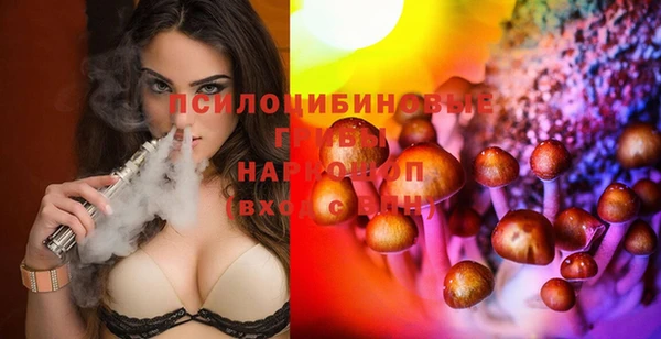 МДПВ Липки