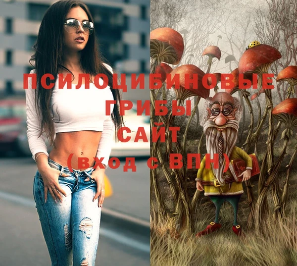 СК Алексин
