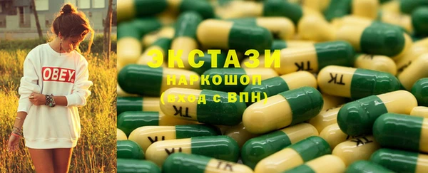 СК Алексин
