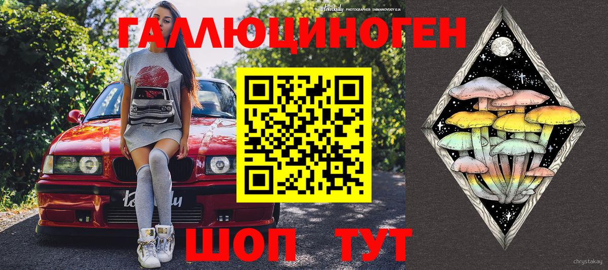 где купить   Вход с VPN  Жуковский  Псилоцибиновые грибы GOLDEN TEACHER 