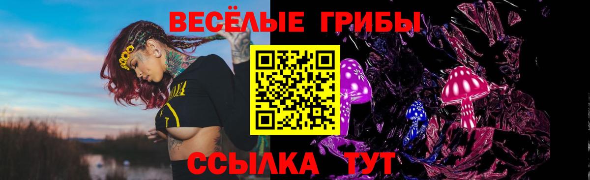 Псилоцибиновые грибы GOLDEN TEACHER Жуковский